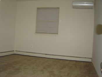 shikhaprasad profile photo