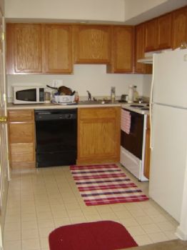 shikhaprasad profile photo