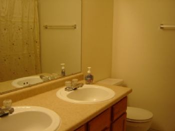 shikhaprasad profile photo