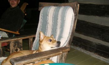 krh042 profile photo