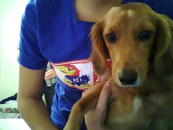 Amanda23 profile photo