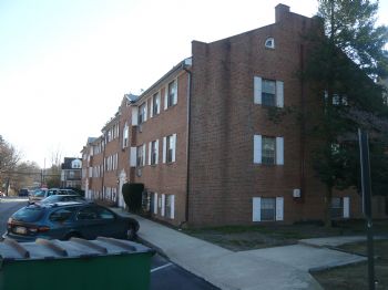 kongjingjing profile photo