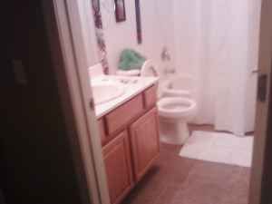 eziccar profile photo