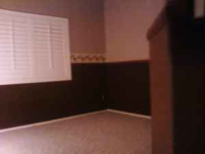 eziccar profile photo