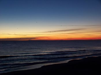 icucicu profile photo