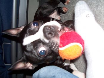 misundrstd profile photo