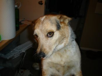 lindseejo profile photo