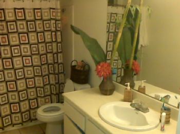 rexmanning profile photo