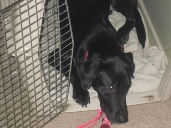 Dallisg profile photo