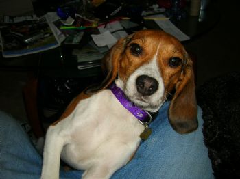 dmlp1008 profile photo