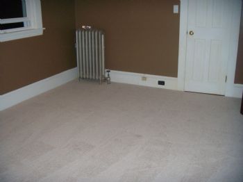 danigirl81 profile photo