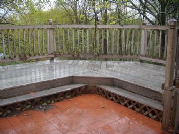 danigirl81 profile photo