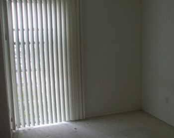 mili24 profile photo