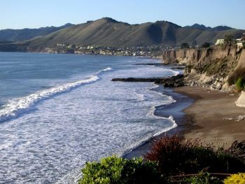 rwinsell profile photo