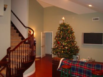 ditryin profile photo