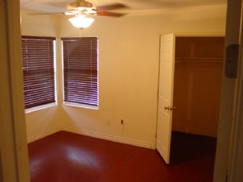 ditryin profile photo