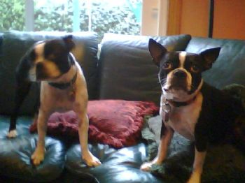 samitue profile photo