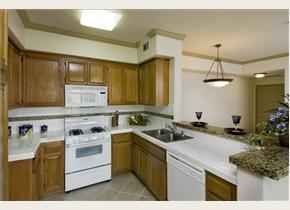 Kanga999 profile photo