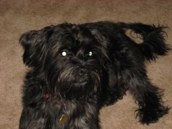 hgoodson profile photo