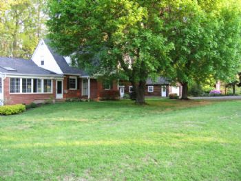 Ozziggy profile photo