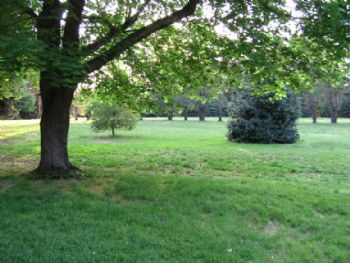 Ozziggy profile photo