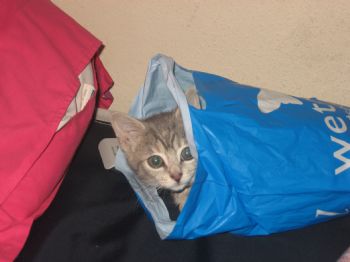 Kelcey89 profile photo