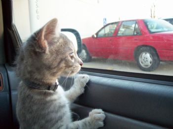 Kelcey89 profile photo