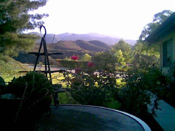 darby12 profile photo