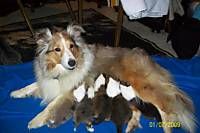 Ciara1 profile photo