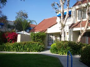 hoopfan187 profile photo