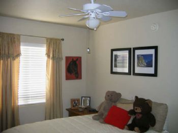 hls1147 profile photo