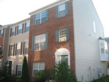 allenwu profile photo