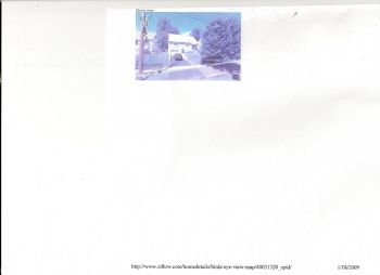 lisasthamilt profile photo