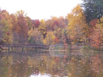 MikeDayna profile photo