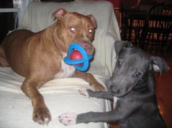 NickyJoe profile photo