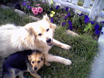 thespianIam profile photo