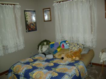 dan1714 profile photo