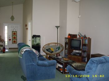 redgirl3884 profile photo