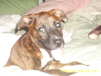 finnjl37 profile photo