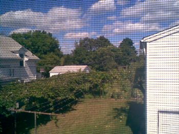 Spririt28 profile photo