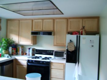 vballer profile photo