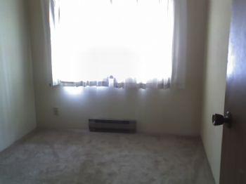 clearshinex profile photo