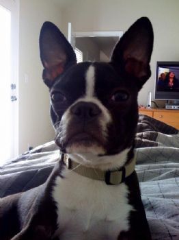 Nhiggins profile photo