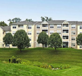 Natsai profile photo