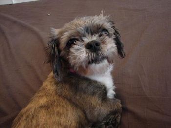 candy81 profile photo