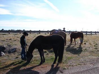 candy81 profile photo