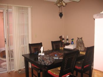 LuciaV78 profile photo