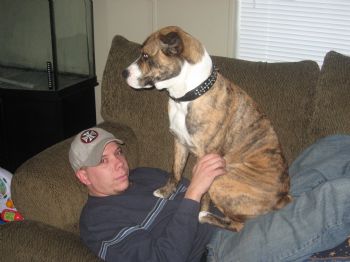 itechcomm profile photo