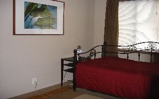 kat562 profile photo