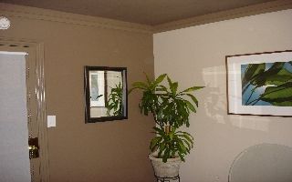 kat562 profile photo